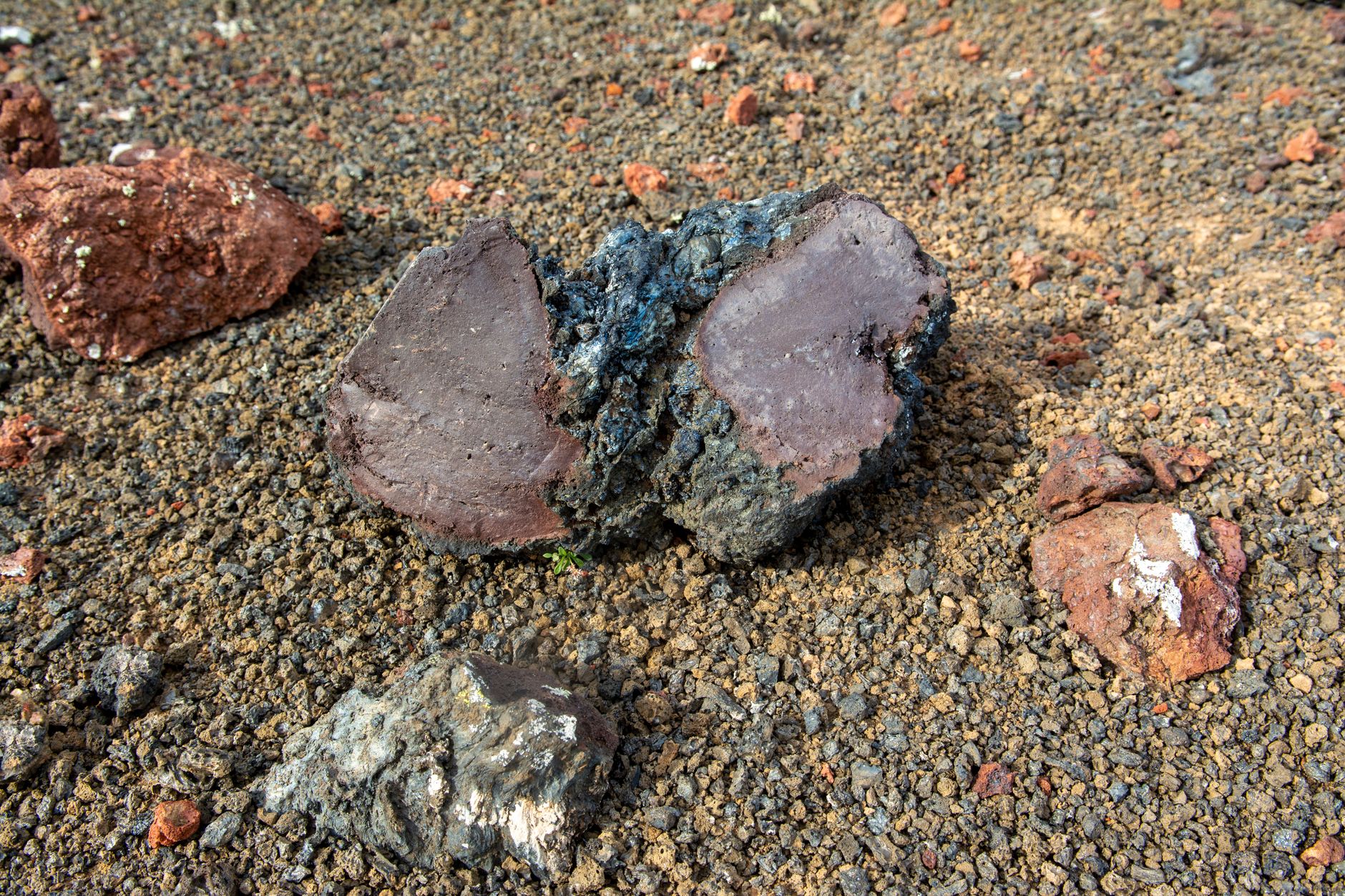 Sunstone crystals embedded in basalt rock on Oregon desert floor