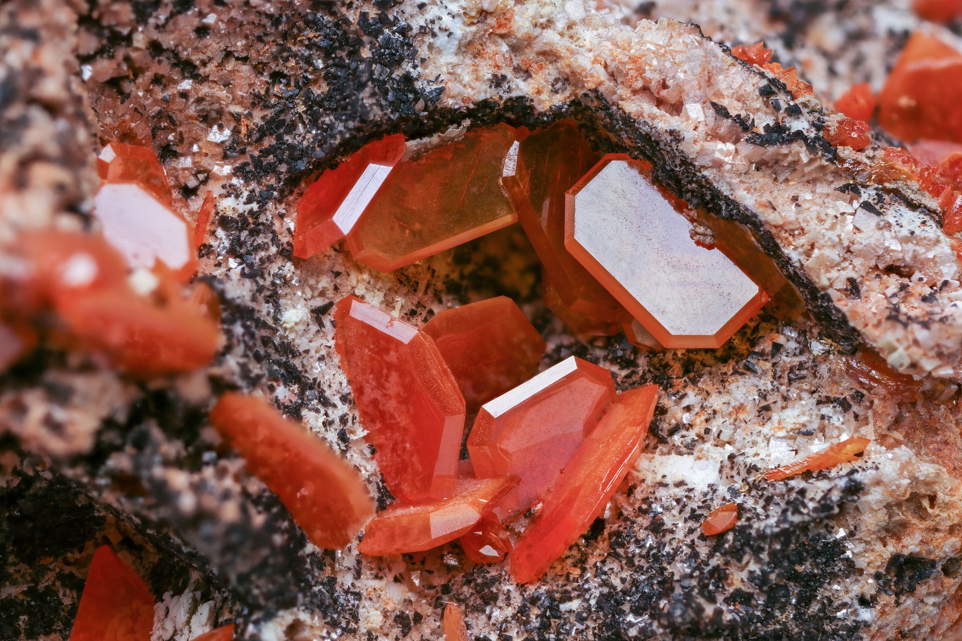 Detailed view of vibrant red hexagonal crystals embedded in rocky surface.