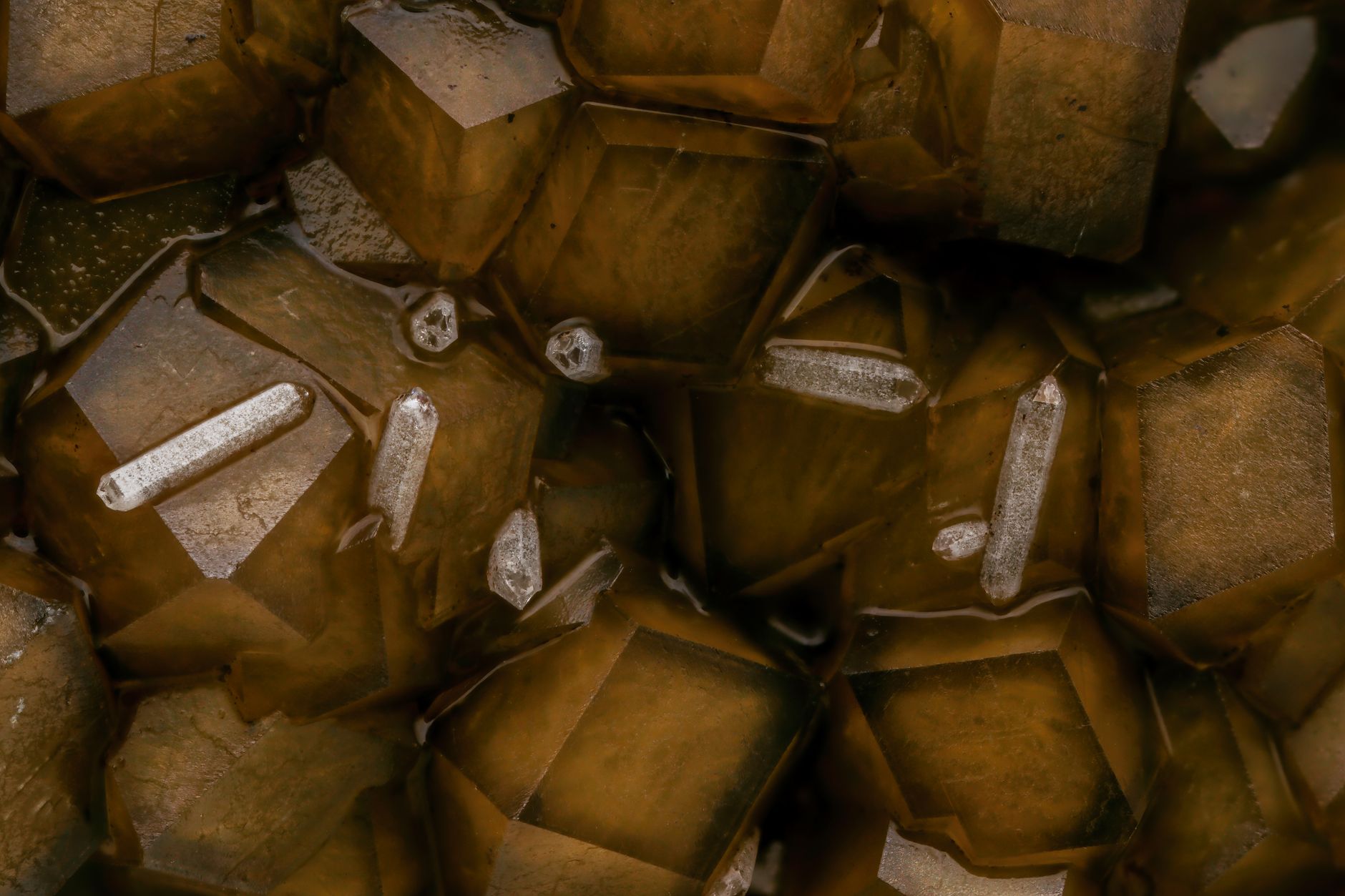 clusters of brassy cubic pyrite crystals embedded in gray stone