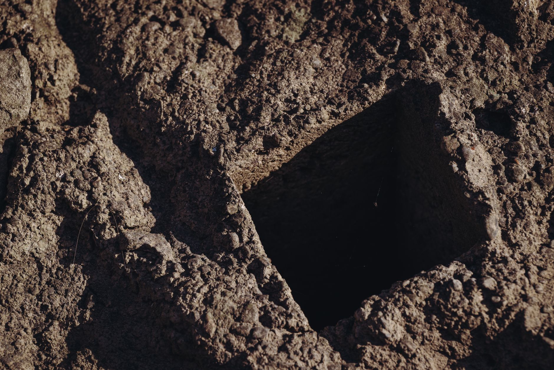 a person using a trowel to dig a test hole in a gravel bar beside a creek