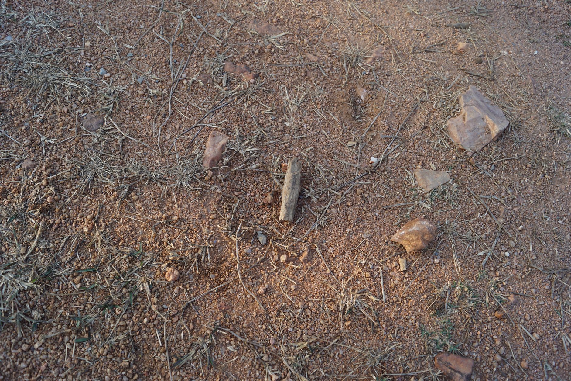 a rock hammer and chisel lying on rocky desert ground with collected specimens