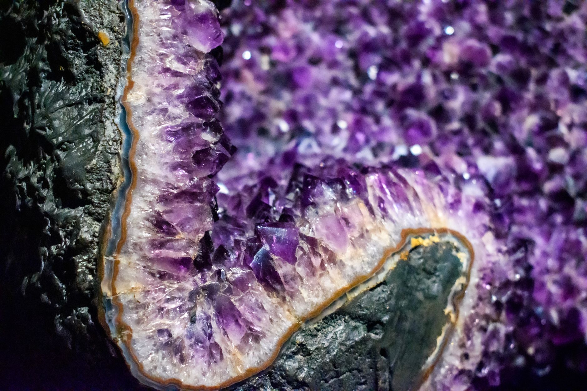 purple amethyst crystals scattered on rocky soil in a forest clearing
