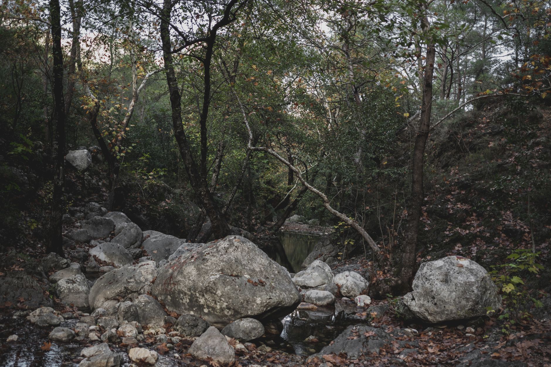a rock hammer and gold pan resting on a sandy creek bank