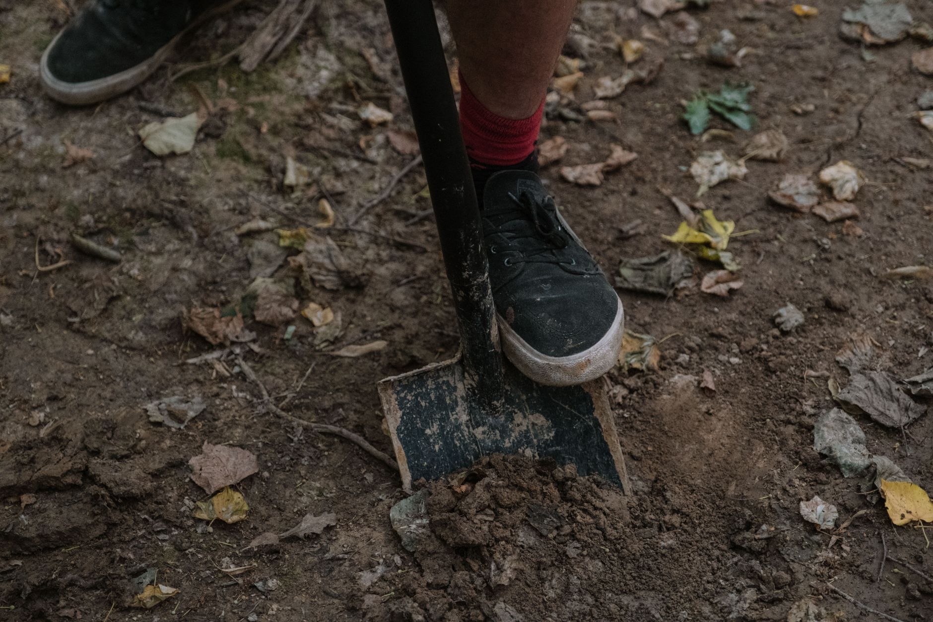 a person digging in rocky soil at an Oregon thunderegg location